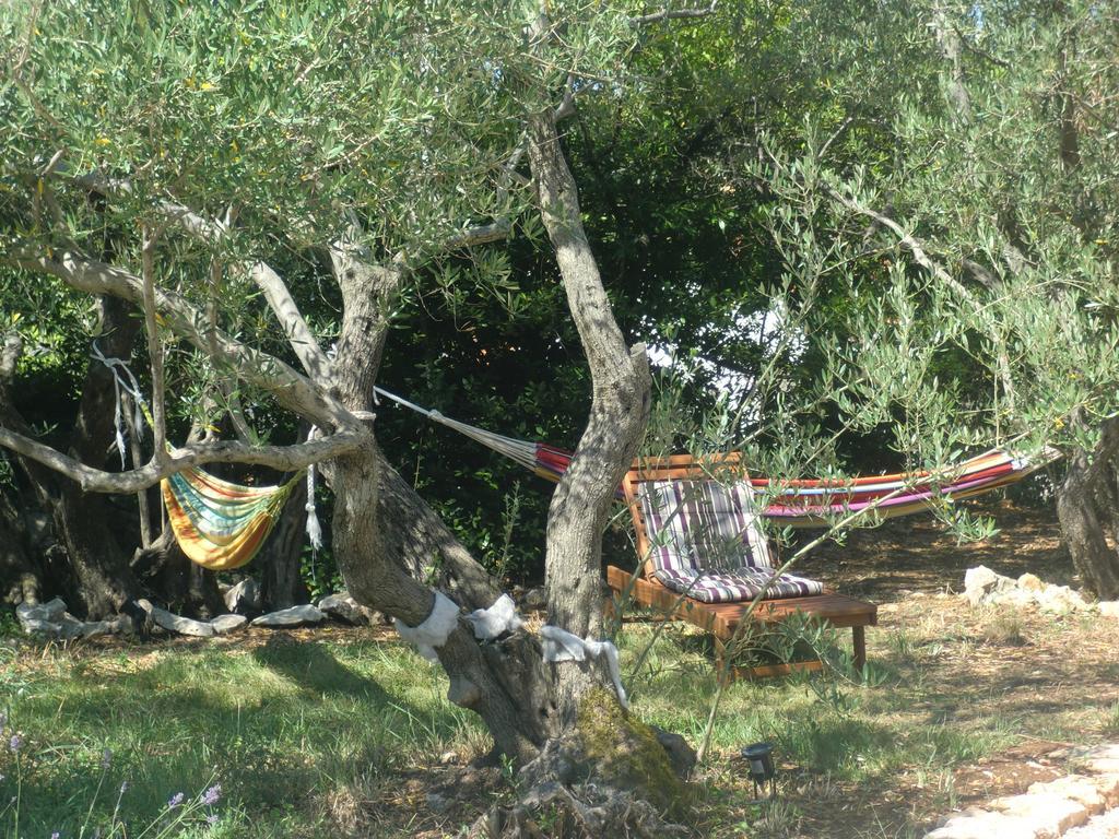Villa Splendissima Krk - Adults Only Кърк Екстериор снимка