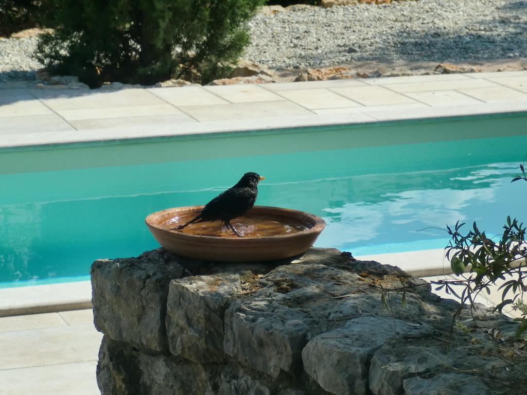 Villa Splendissima Krk - Adults Only Кърк Екстериор снимка