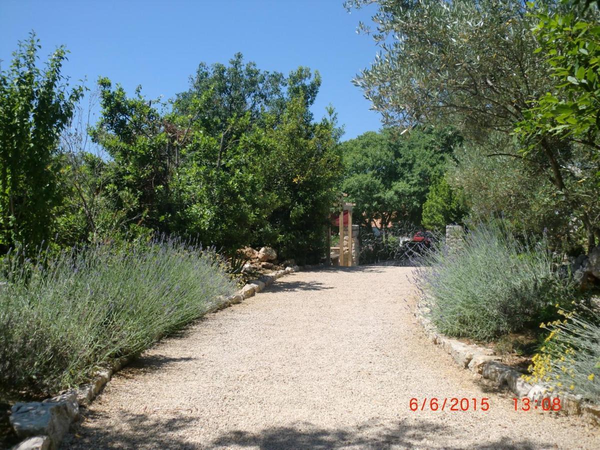 Villa Splendissima Krk - Adults Only Кърк Екстериор снимка